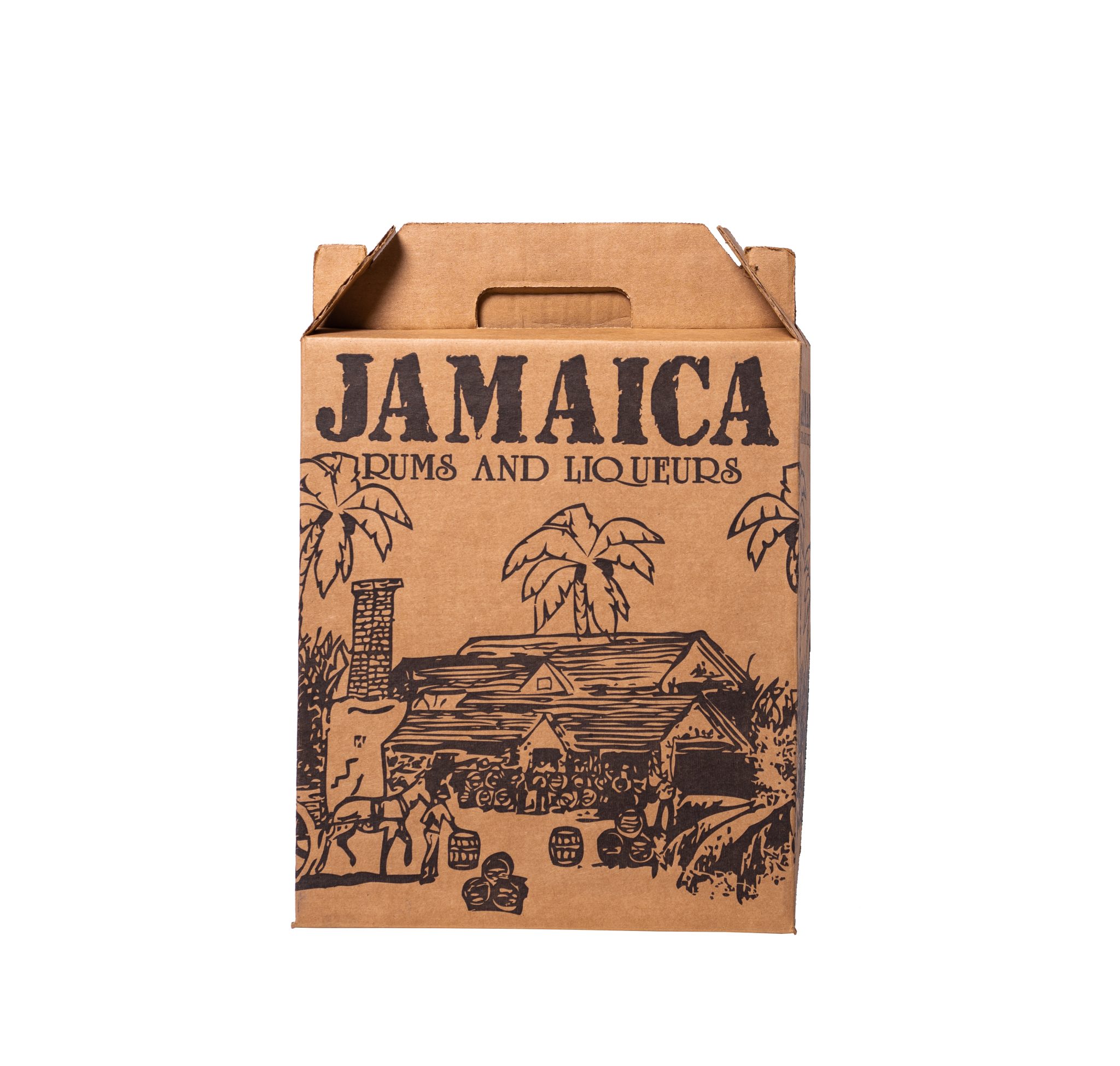 3 BOTTLE CARRY HOME Jamaica Packaging Industries