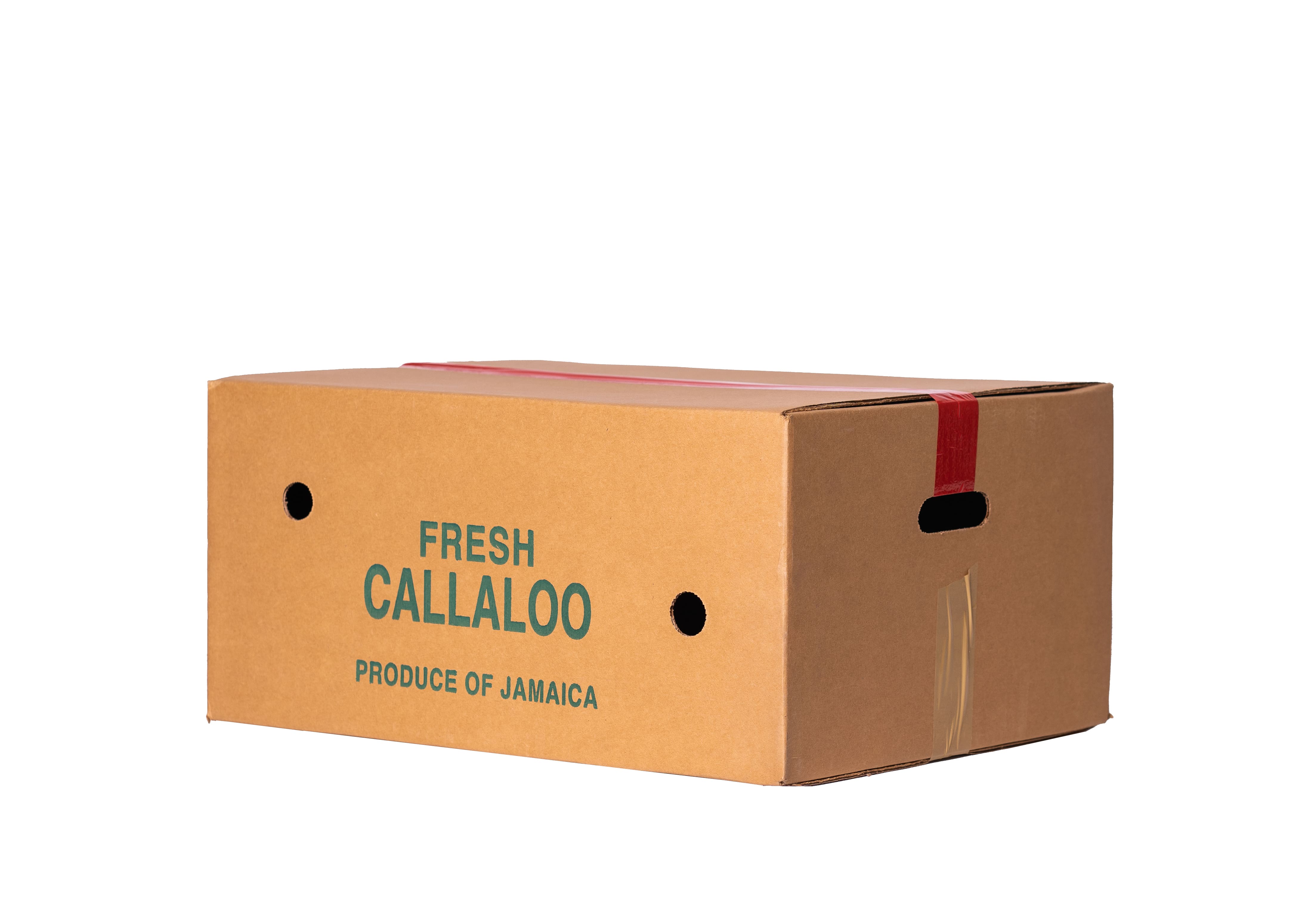 Callaloo Printed (20 x 16 x 9) Front-Side 2
