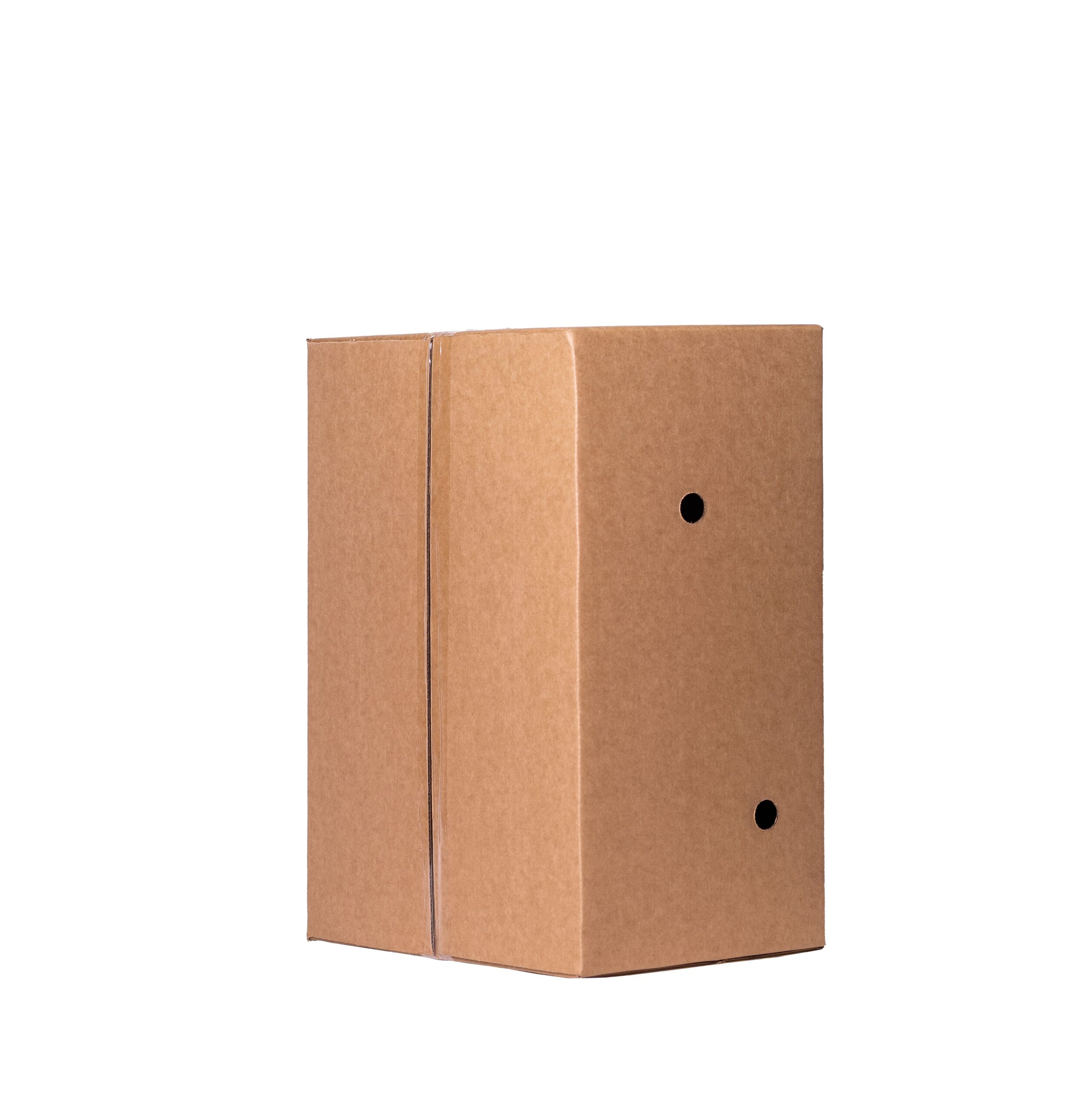Sorrel Carton (20 x 16 x 9) Front-Side Upright